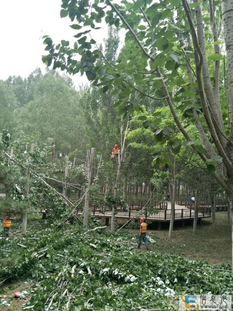 北京共赢园林绿化