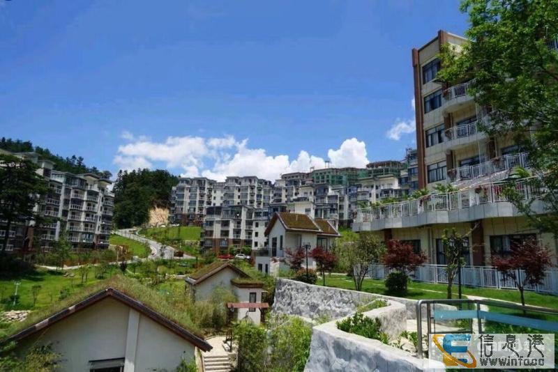 想去神农架避暑度假的武汉人看看 桃花溪避暑度假小镇桃花溪避暑 想去神农架避暑度假的武汉人看看 桃花溪避暑度假小镇桃花溪避暑