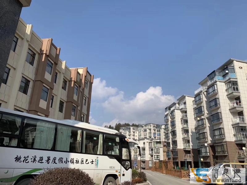 英山桃花冲风景区 22度清凉小镇桃花溪避暑度假小镇桃花溪避暑 英山桃花冲风景区 22度清凉小镇桃花溪避暑度假小镇桃花溪避暑