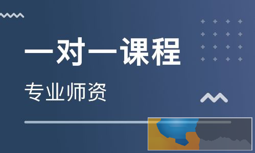 宝鸡补习初二语文数学哪个辅导班好/一对一辅导班什么价格