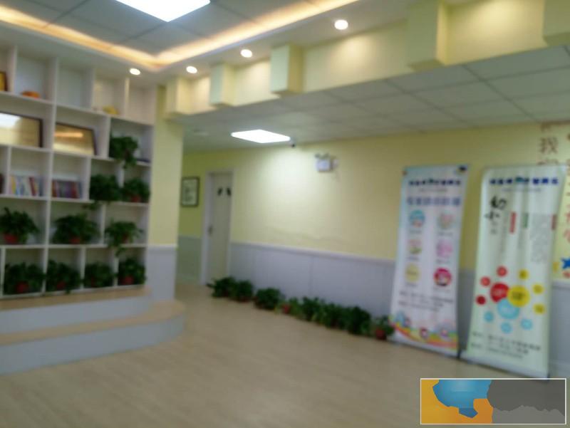 初中作文阅读和作文突击