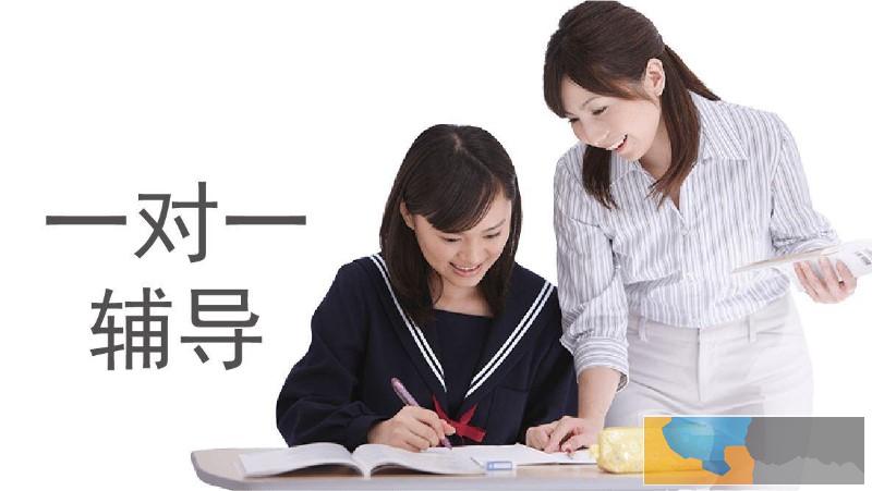 天津初二语文暑假辅导班家教 天津初二语文暑假辅导班家教