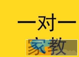 新余学院家教团队小升初重难点一对一提分辅导