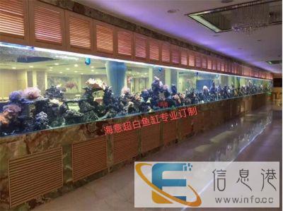 洋清水族大型鱼缸安装 亚克力泳池施工 大型水族箱定制工厂 洋清水族大型鱼缸安装 亚克力泳池施工 大型水族箱定制工厂