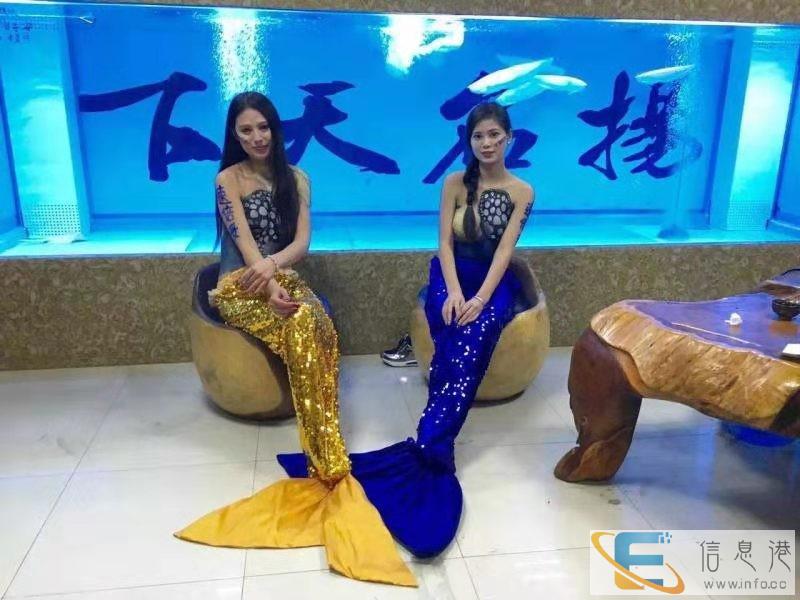 白云专业海鲜池制作 广州洋清水族海鲜池定做 海鲜池免费设计 白云专业海鲜池制作 广州洋清水族海鲜池定做 海鲜池免费设计