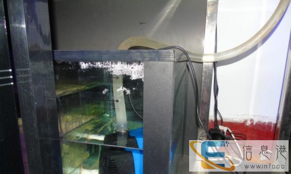 衡湖水族中大型低虑生态水族箱鱼缸