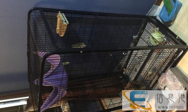 出售大型 松鼠笼 龙猫笼长77宽51高137cm