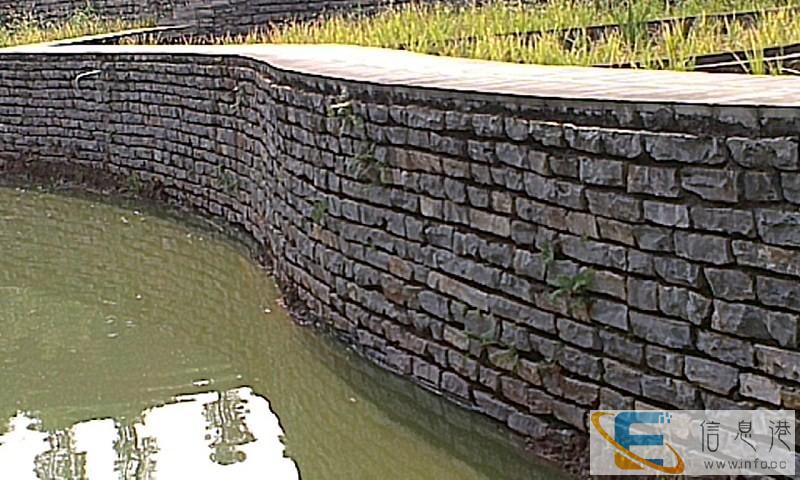 自产自销虎皮石