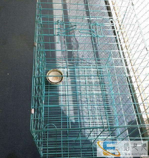 狗狗丢了，忍痛出售笼子