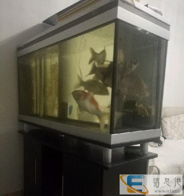 1.2米鱼缸出售