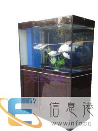 全新订做龙鱼缸海水缸大小型玻璃鱼缸