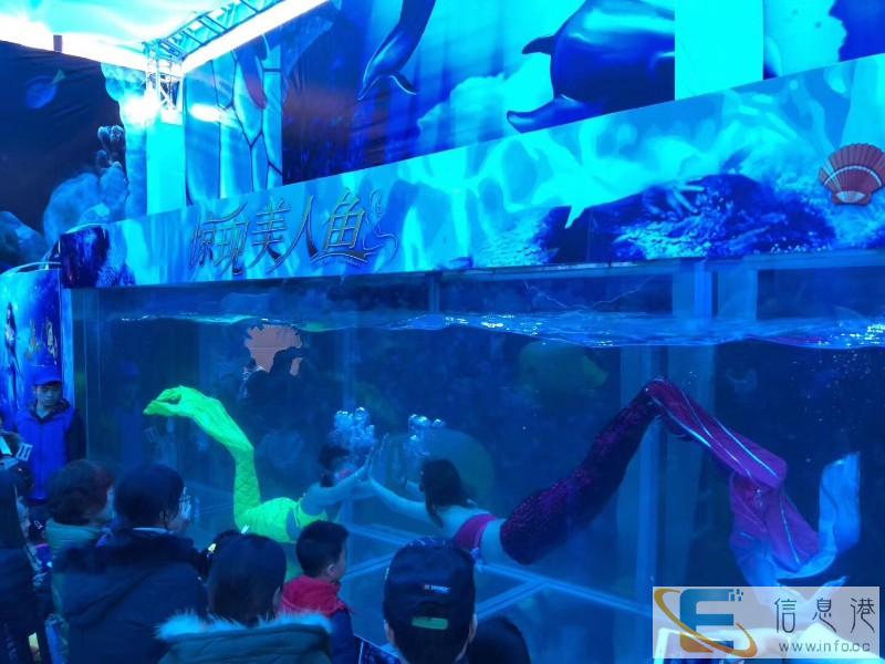 洋清水族专业美人鱼大型鱼缸表演巡演出租 美人鱼表演方案策划