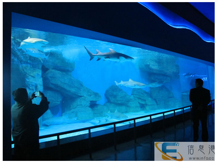 广东广州哪里有出租海洋生物展的展览 租赁公司 洋清水族