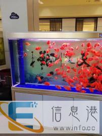 定做鱼缸清洗鱼缸保养鱼缸厂家直销