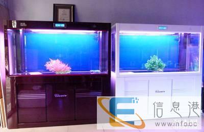 深圳订做鱼缸 办公室鱼缸 海水鱼缸 酒店鱼缸定做