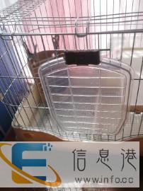 转让荷兰猪笼子等用品