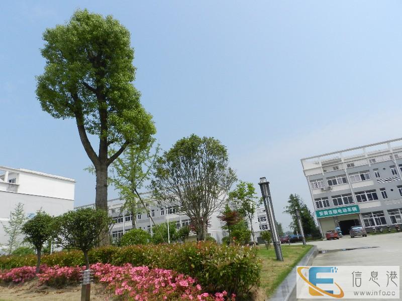 中合产业园厂房 写字楼 仓储各种楼宇出租出售