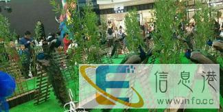 美人鱼海狮表演租赁，羊驼萌宠出租，夏季海洋生物展