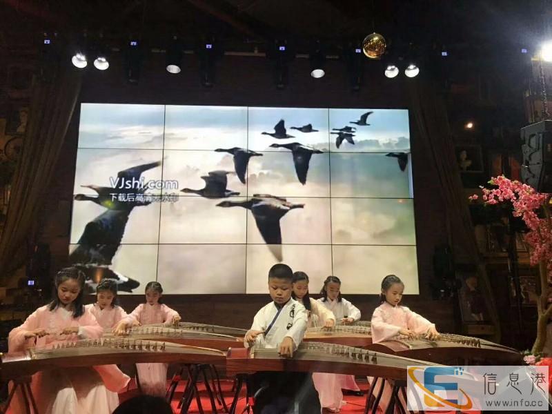 专业的少儿零基础古筝培训福永沙井西乡玉兰阁