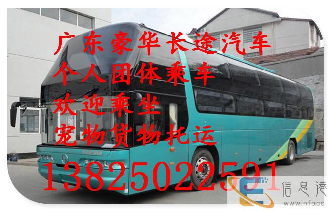 客车 深圳到遂宁大巴汽车 发车时间表 几个小时能到 价格多少