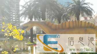 仿真恐龙出租 腕龙板龙甲龙马门溪龙三角龙