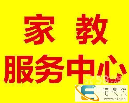 高三英语,大学生家教团队,查缺补漏,大学生一对一上门辅导