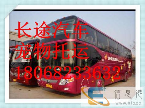 汽车 杭州到营口大巴汽车 发车时刻表 几小时 票价多少