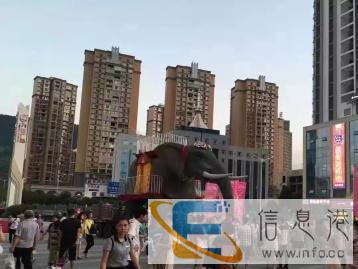 张家界高端霸气机械大象出租,新款卡通猪猪现货出售 张家界高端霸气机械大象出租,新款卡通猪猪现货出售