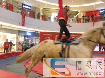 张家界孔雀服,百鸟展,蝴蝶展览,萤火虫展,鹦鹉表演,马戏 张家界孔雀服,百鸟展,蝴蝶展览,萤火虫展,鹦鹉表演,马戏