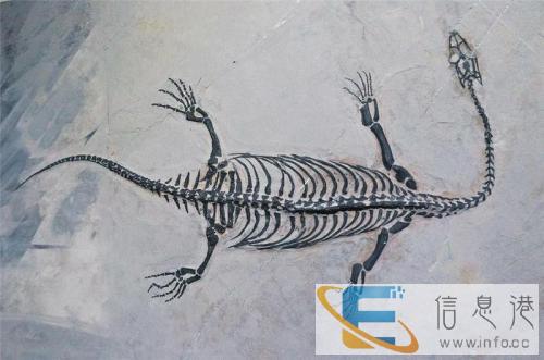 安庆私人上门现金收购陨石-私人私下收购奇石 安庆私人上门现金收购陨石-私人私下收购奇石