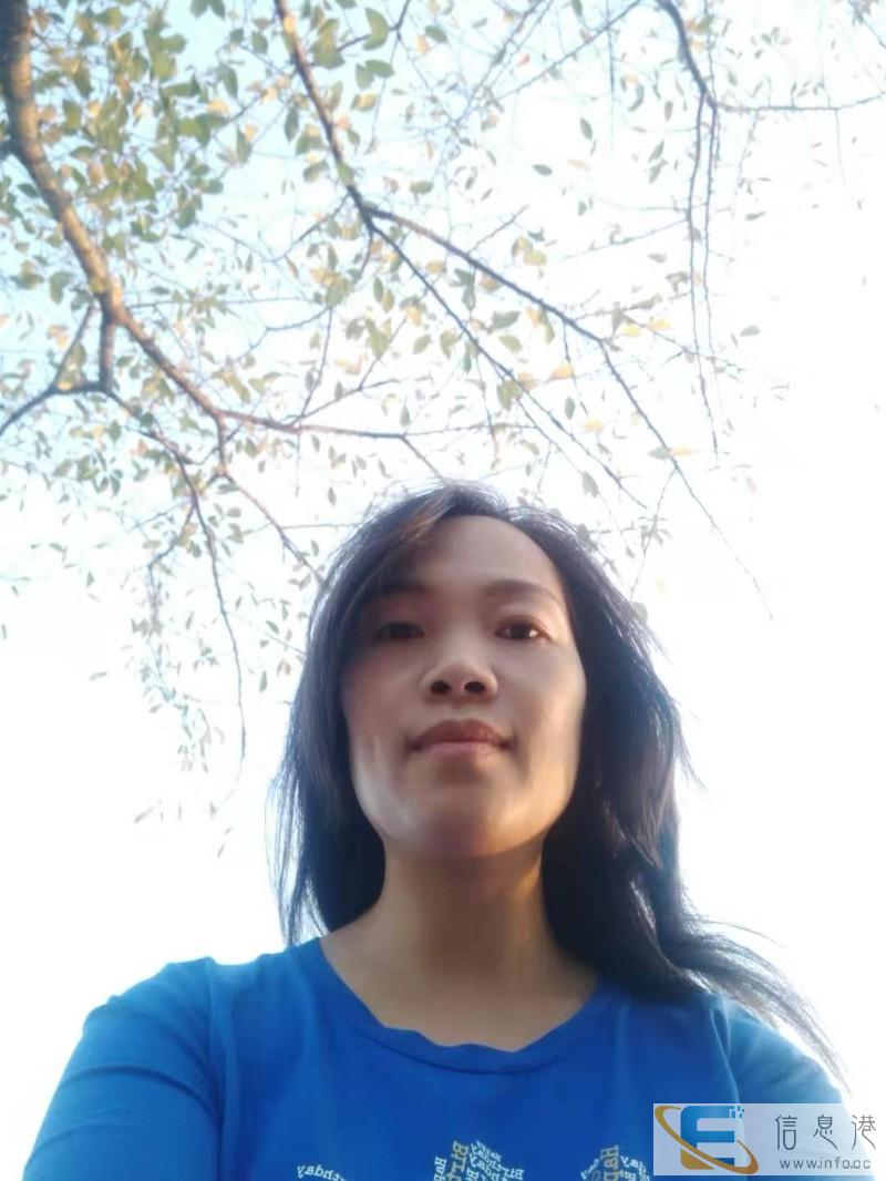 上海英语德语翻译