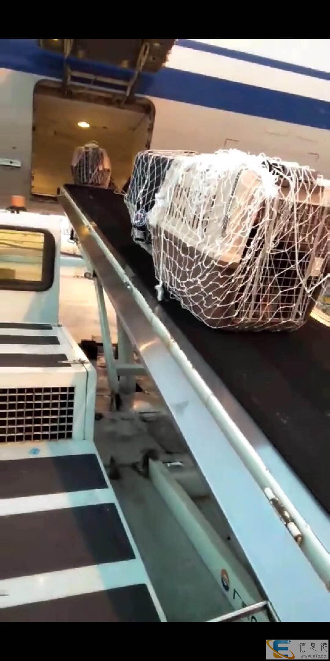 安庆宠物托运公司专车接送 安庆宠物托运公司专车接送