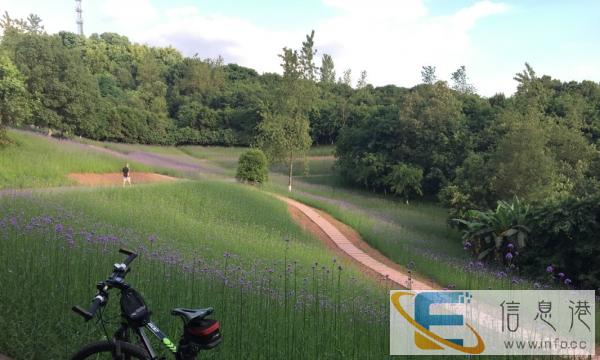 17款美利达公爵600