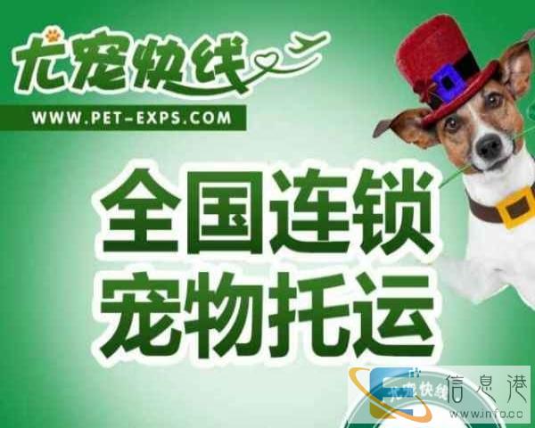 宠物托运专家尤宠快线呼和浩特