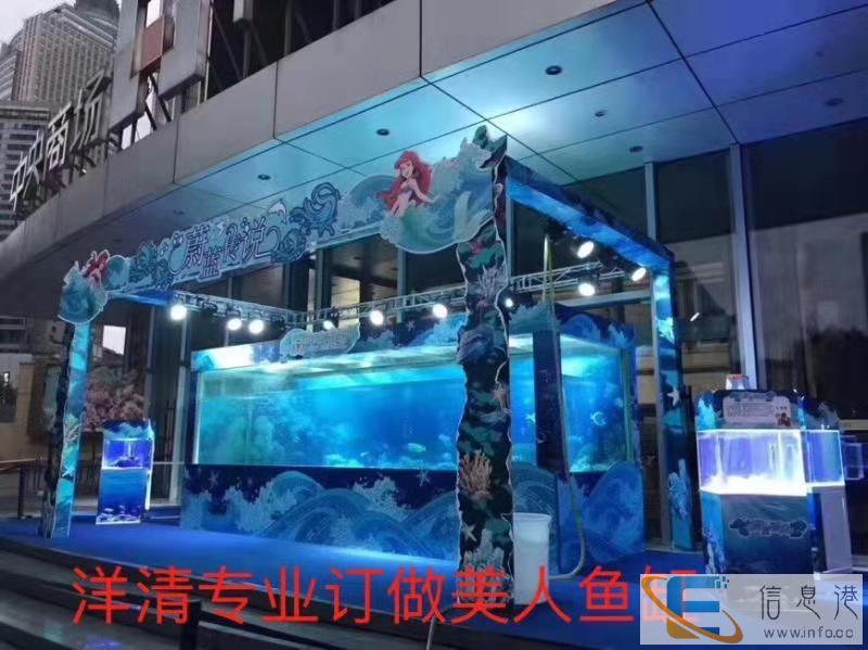 荔湾区海洋节生物鱼缸展览出租活动策划公司-洋清海洋展租赁