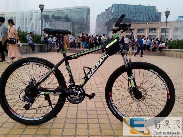 转让捷安特勇士超轻高质量21速双碟山地车