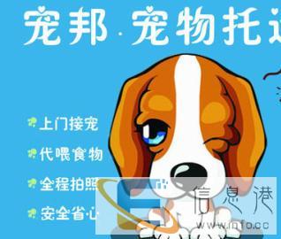 荆州宠物托运哪家好 找宠邦宠物托运专业安全有保障