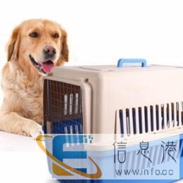 广东梅州市区宠物航空运输-宠物出行专家