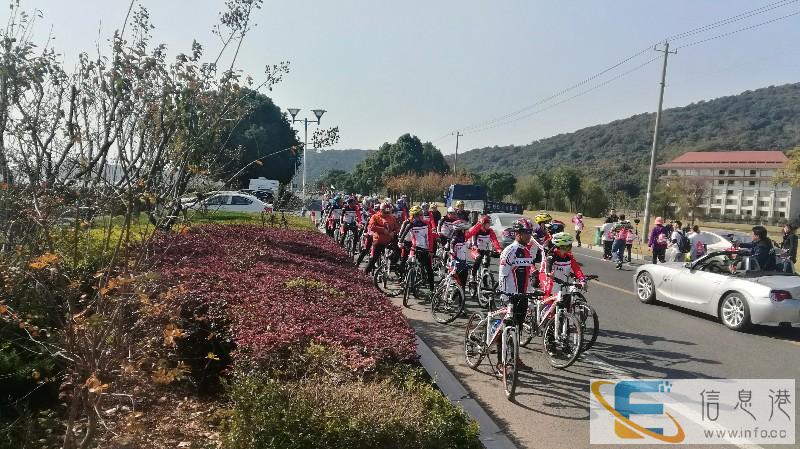 上海自行车租赁,环太湖山地自行车,公路车租赁