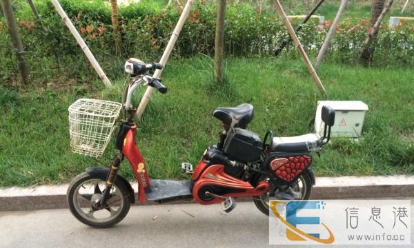 五星钻豹便宜处理