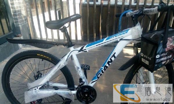 全新捷安特带调速带减震带碟刹自行赛车