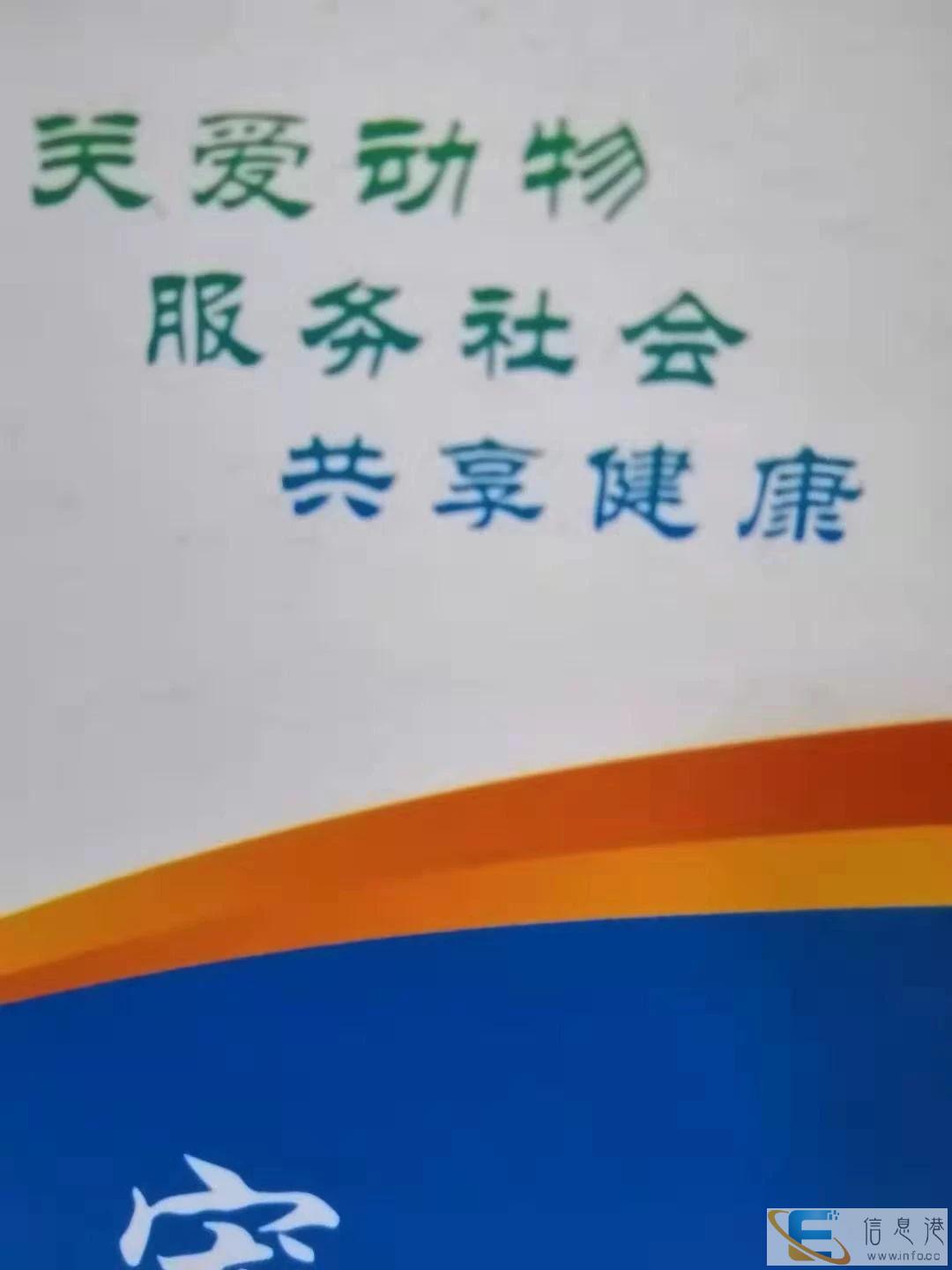 上海宠物 宠物上门安乐 宠物安乐一针多少钱