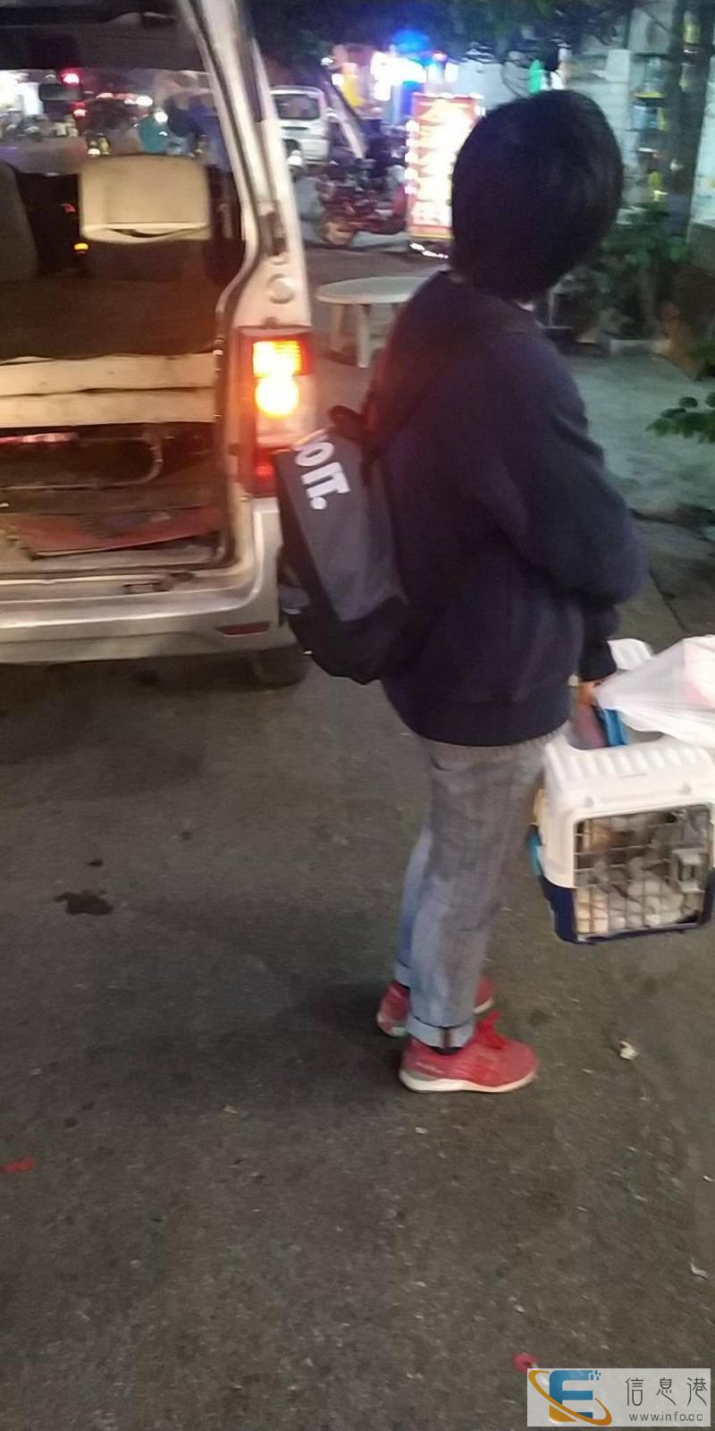 上饶随机托运 检疫证代办