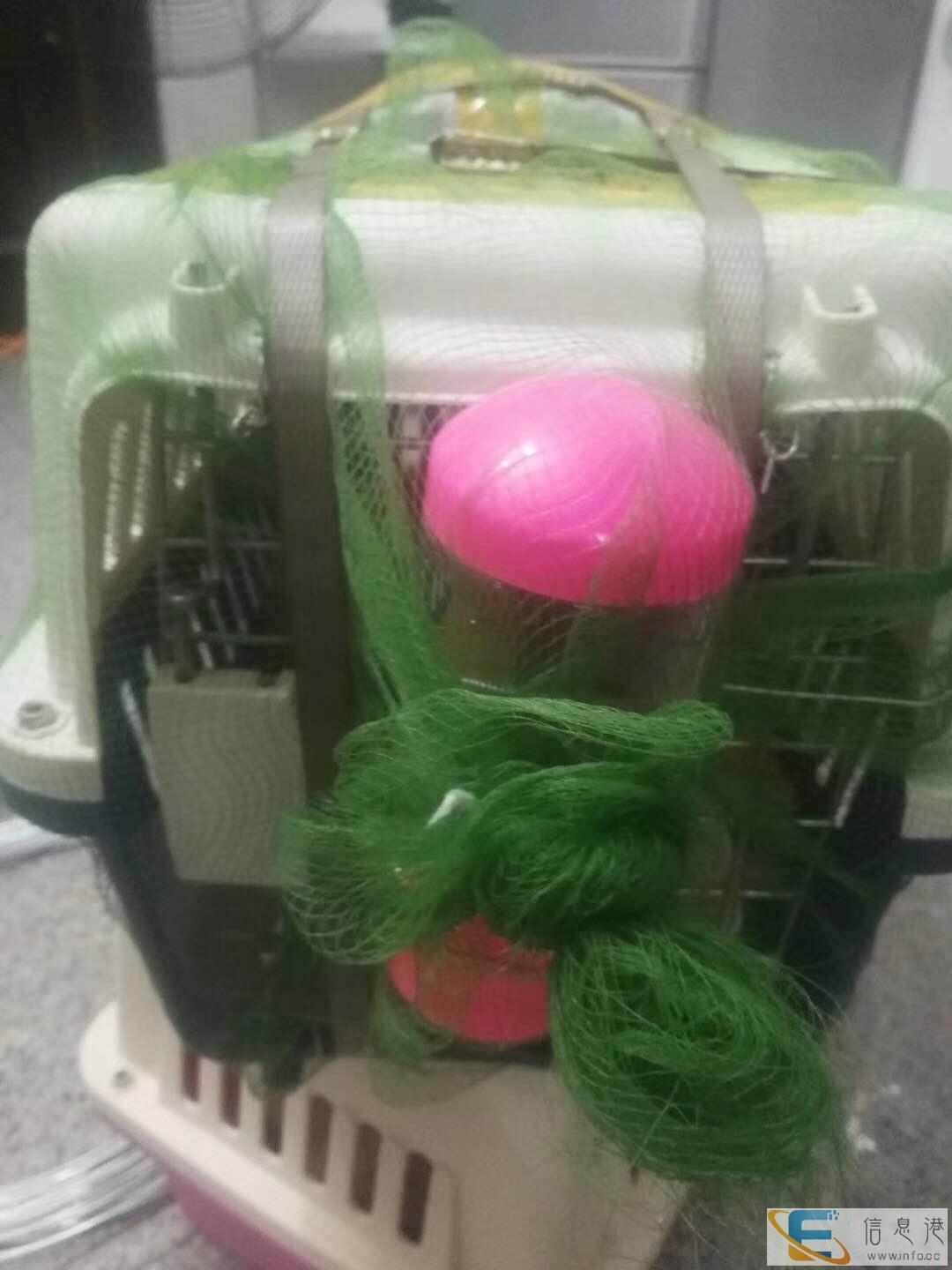 上饶宠物检疫证办理专车门对门服务