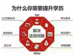 在职人员考学历正规自考本科计算机财务管理专业有学位