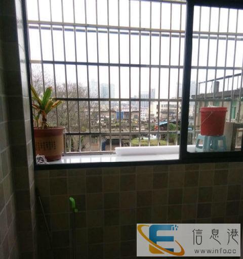 信州天娇家园门口 1室1厅55平米 豪华装修 押一付三