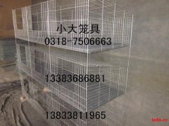 鸡笼 鸽笼 兔笼 狗笼 鸟笼 鹌鹑笼 鹧鸪笼 宠物笼 运输笼