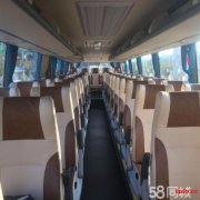 威海租车婚庆商务会议7座15座23座50座中巴大巴威海信誉商