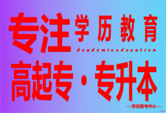 山东大学学历教育大专本科有哪些热门专业可以报考