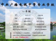 学历提升，中专，大专，本科，所有第二学历的形式都有。学信网可